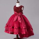 Sequence Baby Frock for Kid Girls With