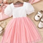 Floral Enabroidery Net and Model Short (Pink)