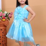 Teal Floral Embellished Party Dress With (Firoza)