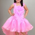 Teal Floral Embellished Party Dress With (Pink)